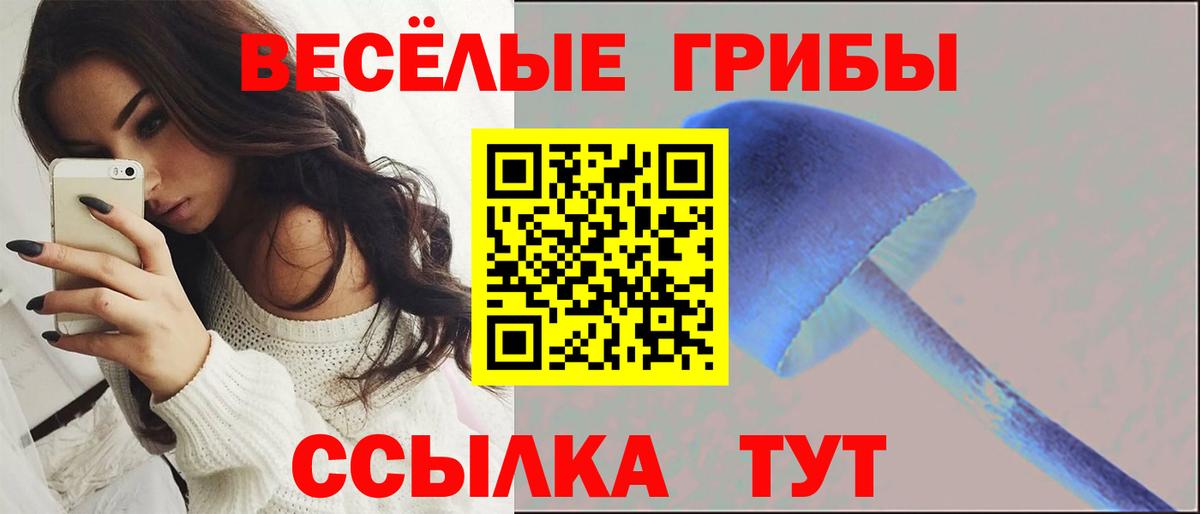 Галлюциногенные грибы GOLDEN TEACHER Шали